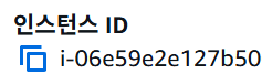 AWS EC2 인스턴스 ID