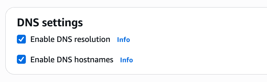 AWS VPC DNS 셋팅 화면